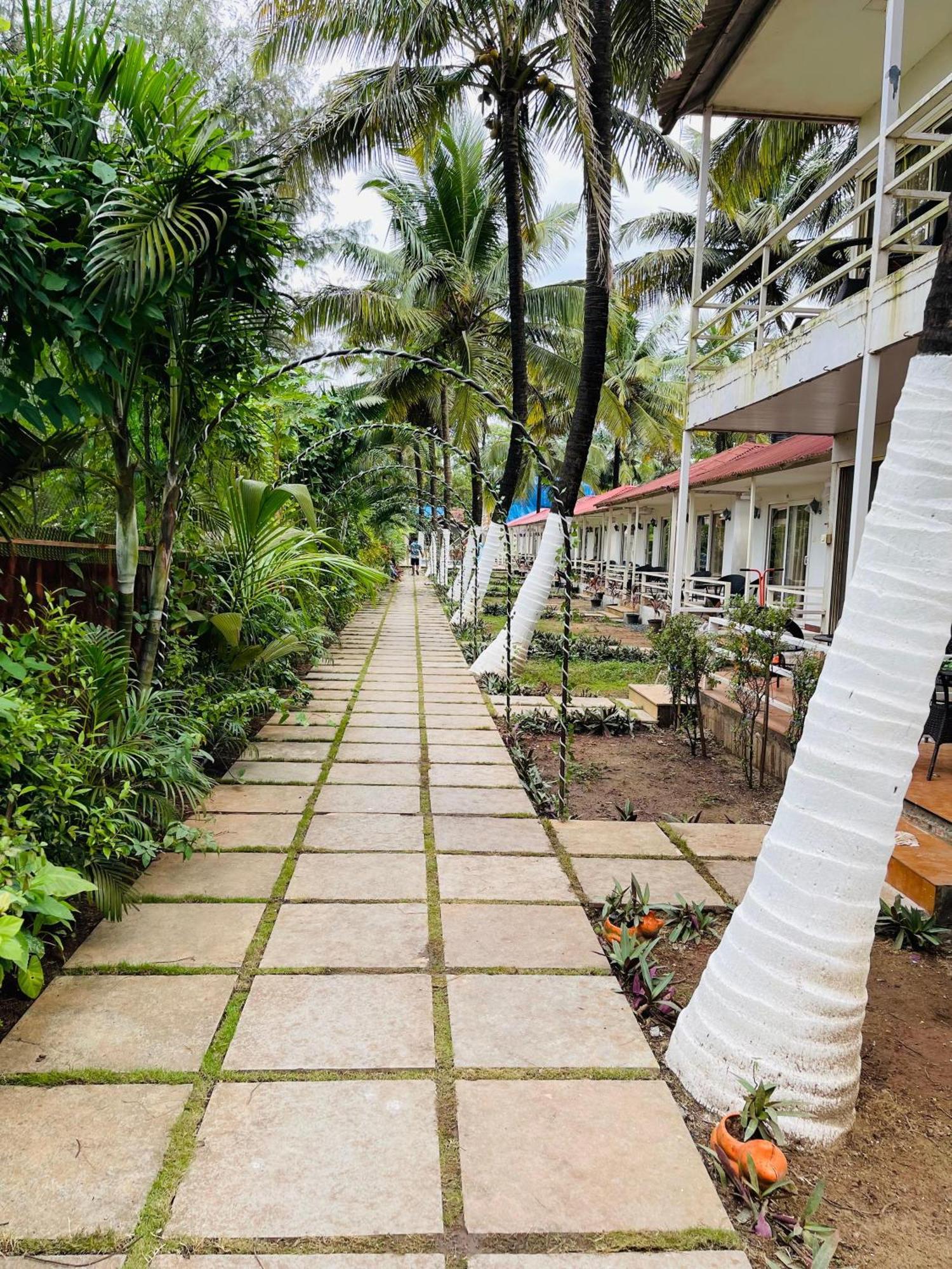 Arabian Sea Beach Resort Morjim Buitenkant foto