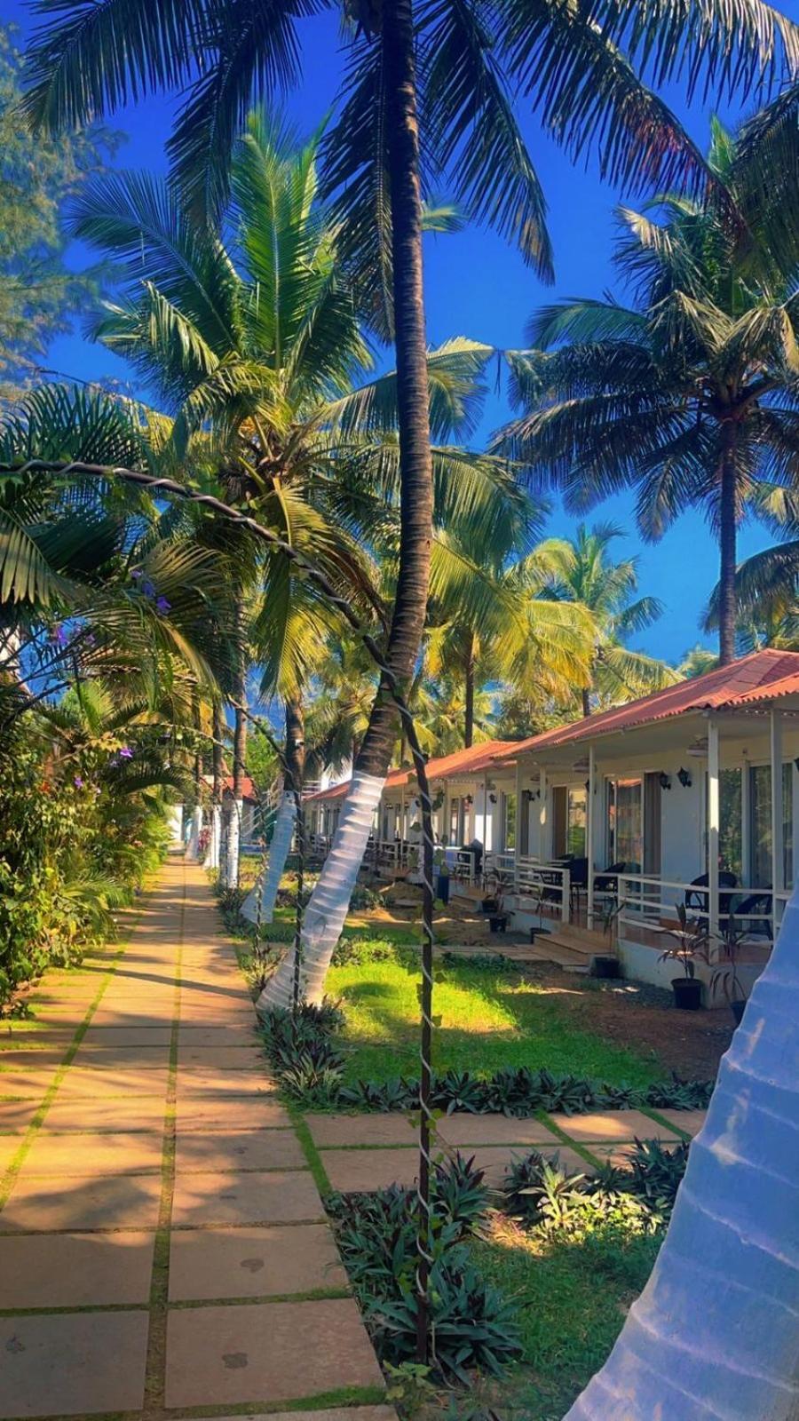 Arabian Sea Beach Resort Morjim Buitenkant foto